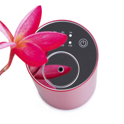 Diffuser Pengharum Ruangan Mobil 5W, Diffuser Pengharum Mobil RoHS